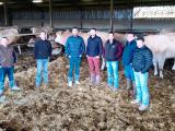La contractualisation en bœuf de Chalosse se met en place