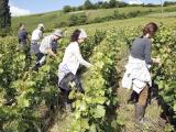 La nouvelle convention collective nationale pour l’agriculture officiellement validée