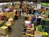 Au marché de Rungis, le commerce reste perturbé