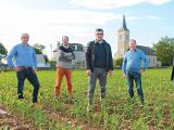 PAC : les producteurs de maïs s’opposent à la rotation exclusive des cultures