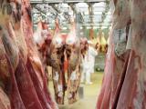 La bonne tenue des prix français des animaux de boucherie