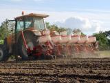 Grandes cultures : les surfaces d'oléagineux en net recul au profit du blé et des protéagineux