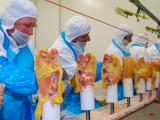 L’interprofession des volailles à la reconquête des marchés