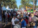 Forexpo confirme la bonne dynamique du secteur forestier