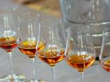 Le concours des eaux-de-vie des Bas armagnacs landais gagne toujours plus en notoriété