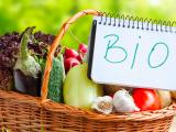 L’agriculture biologique régionale à la croisée des chemins