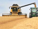 Comptes de l’agriculture 2021 : une hausse en trompe-l’œil