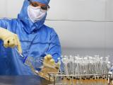 Influenza aviaire : «la vaccination ne doit plus être un tabou»