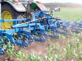 Le guichet du Plan végétal environnement est ouvert jusqu’au 15 mars
